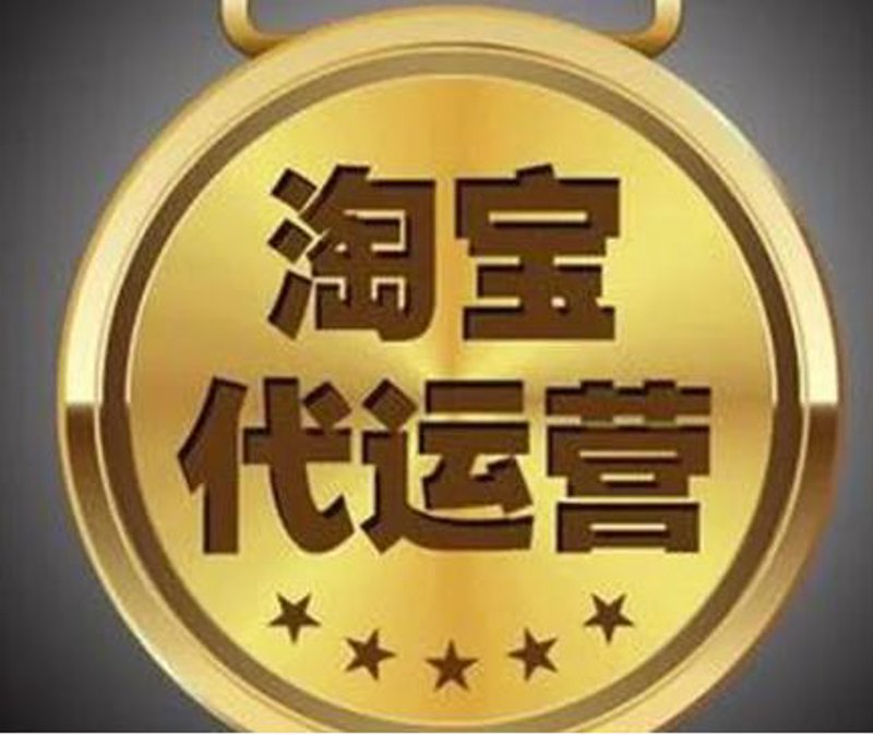 个体工商户电商崛起:抓住数字经济时代机遇